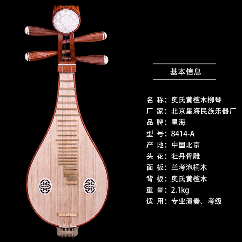 Beijing Xinghai 8414-A Rosewoo - огляд і ціна Musical Instruments