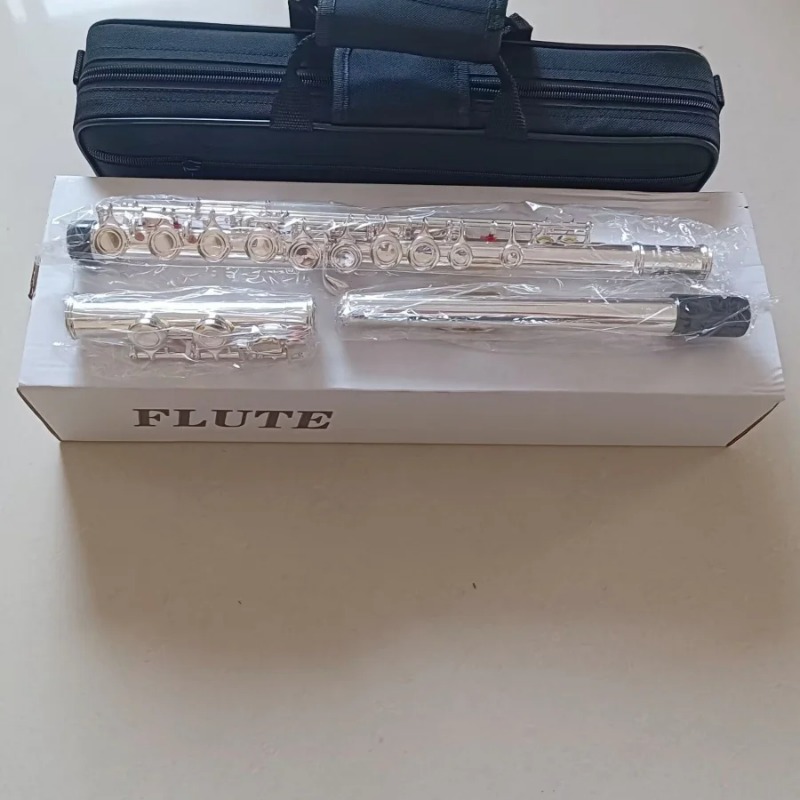 Professional Flute 211SL Model - огляд і ціна Musical Instrument Morocco