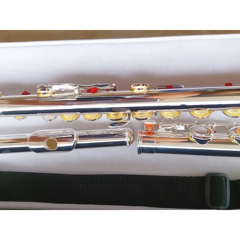 Professional Flute 211SL Model - огляд і ціна Musical Instrument Morocco