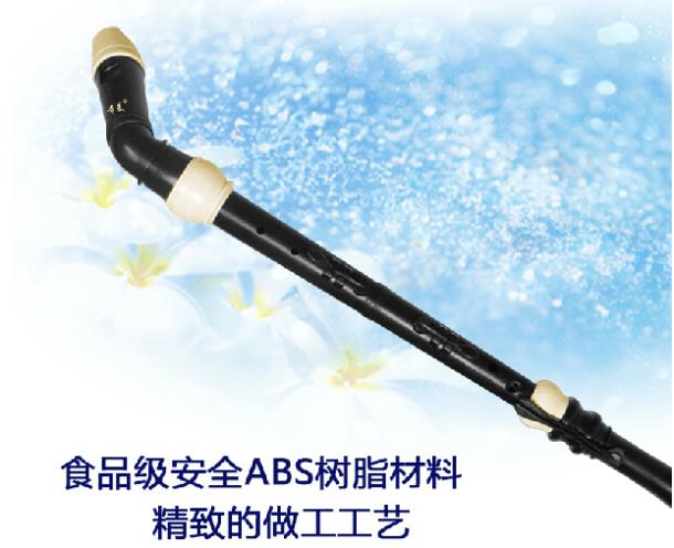 Professional 8 Holes Baroque B - огляд і ціна Recorder Baroque Style