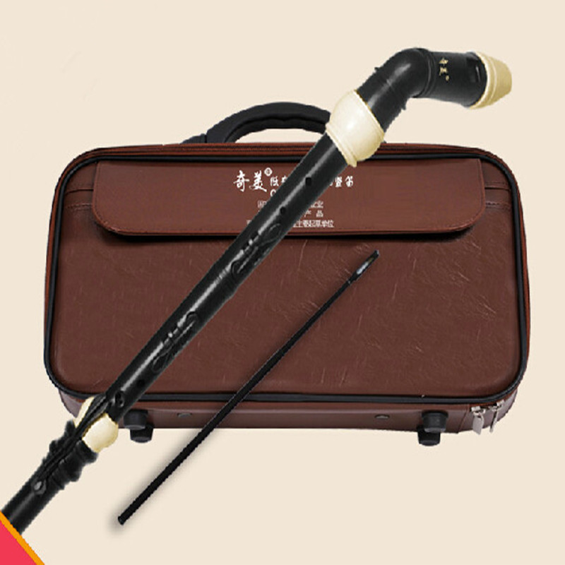 Professional 8 Holes Baroque B - огляд і ціна Recorder Baroque Style