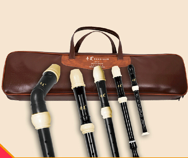 Full Set ABS Resin Recorder Fl - огляд і ціна Recorder Baroque Style
